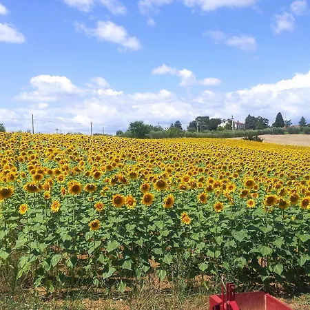 Pet Friendly In With Wifi *