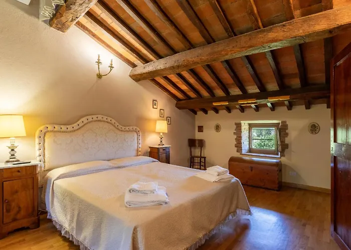 Pet Friendly In With Wifi